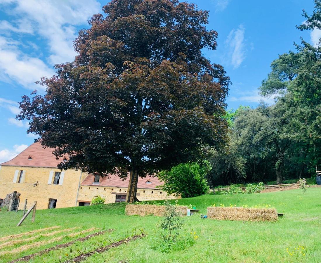 Vila L'Ecrin Des Symes Simeyrols Exteriér fotografie